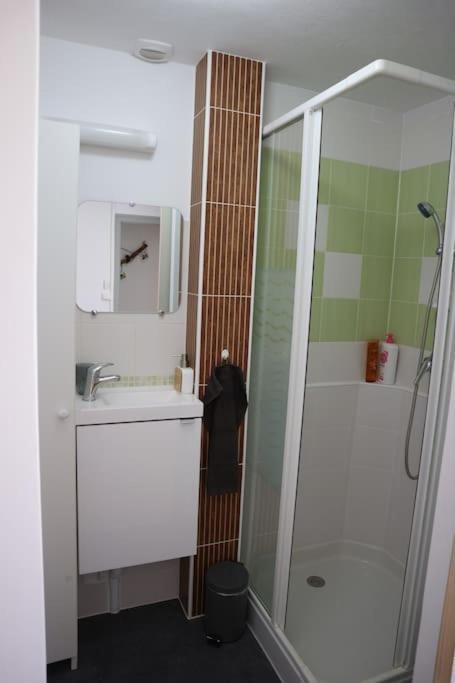 Petite Venise Du Gatinais - T2 Avec Jardin Villa Montargis Exterior foto